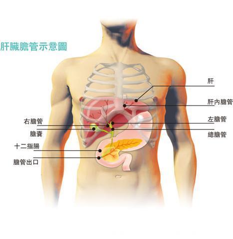 做到这个6点，肝病远离您