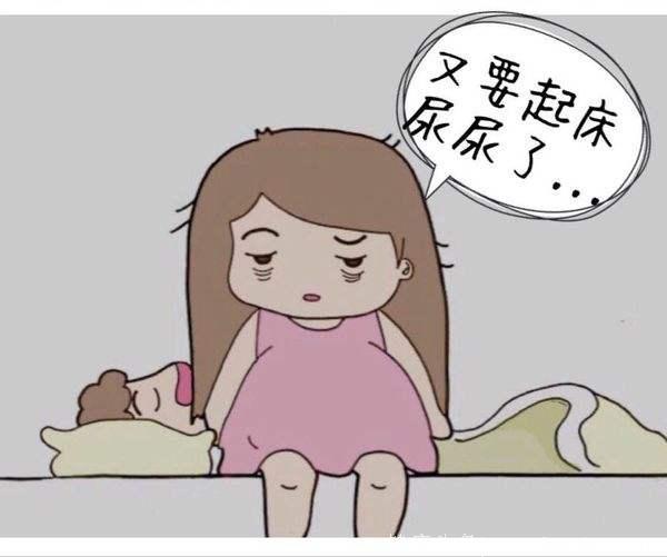 怀孕期间，为何会尿频尿急