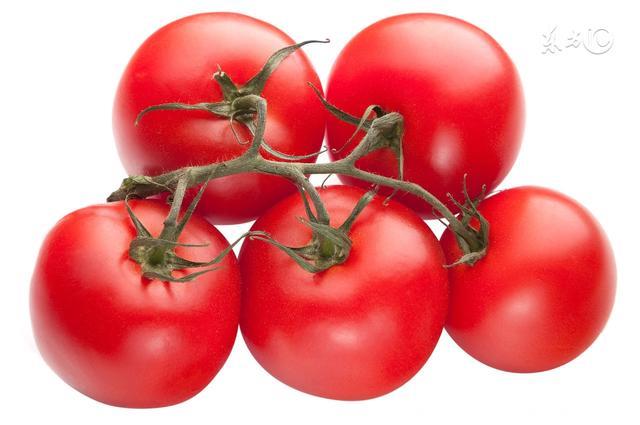 夏季养生菜之西红柿的13种食谱