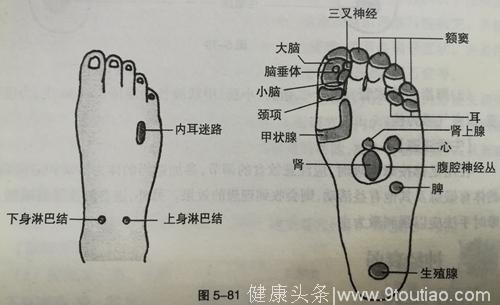 失眠多梦、阳痿早泄，这是神经衰弱引起的，给你几个简单办法，自己好好保养（特别是男人）