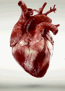 心脏支架要花多少钱？冠心病、心梗一定要支架么？