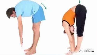 为什么瑜伽老师常说：不要弓背！原来你的脊柱已经严重受到挤压啦……