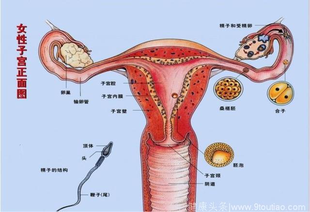 女性注意，身体出现这5种情况，说明宫颈癌已经在悄悄向你逼近！
