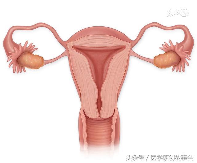 女性出现这四种月经要小心，它们提示子宫里长了肿瘤！