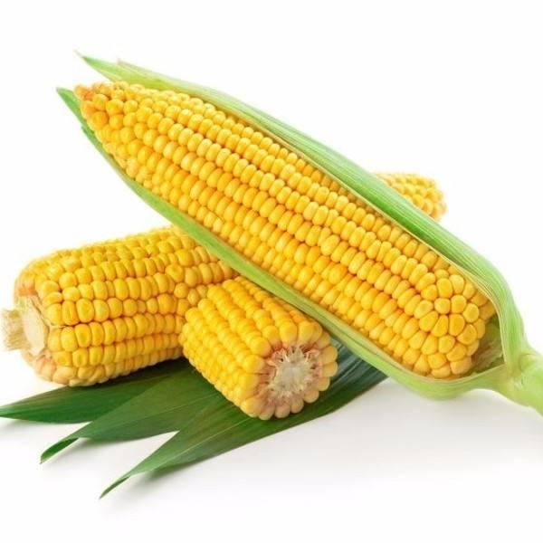 甜玉米含有“抗癌之王”元素，市场1元一个，吃它贵如黄金