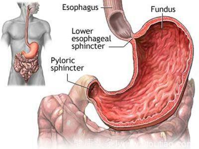 20岁就开始经常胃痛，做好四件事胃溃疡、胃癌就能远离你！