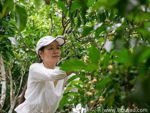 50岁患癌，8年抗癌，成功抑制癌症扩散和生长 这种果子起了了不起的作用！