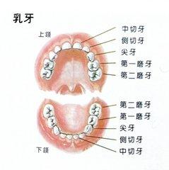 保护牙齿的重要性及方法