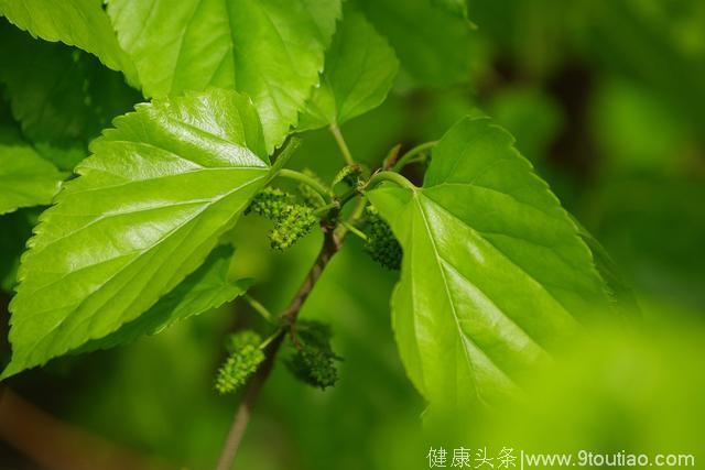 肩周炎疼的抬不起手？教你个简单方法让你挥臂自如，再忙也要看看