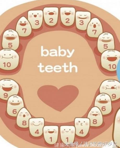 宝宝出生就有牙，婆婆说是“吃人鬼牙”要立即拔，妈妈说是孕期补钙过剩不必管它，究竟应该怎么办？