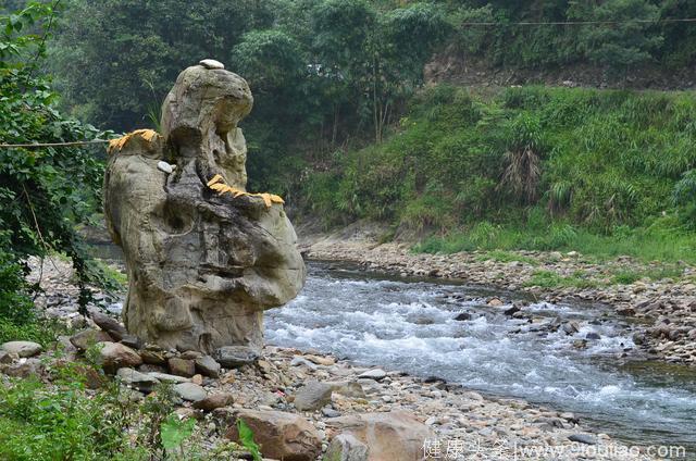 它山之石，可以抗癌