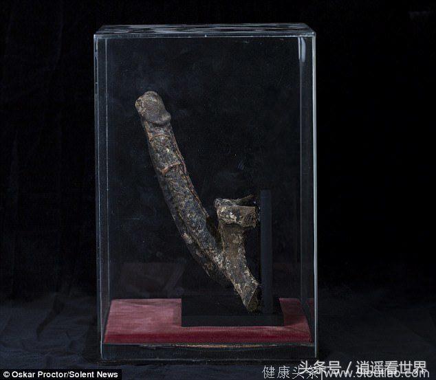 英国博物馆将展出7英寸长的木乃伊阴茎，价值10万英镑
