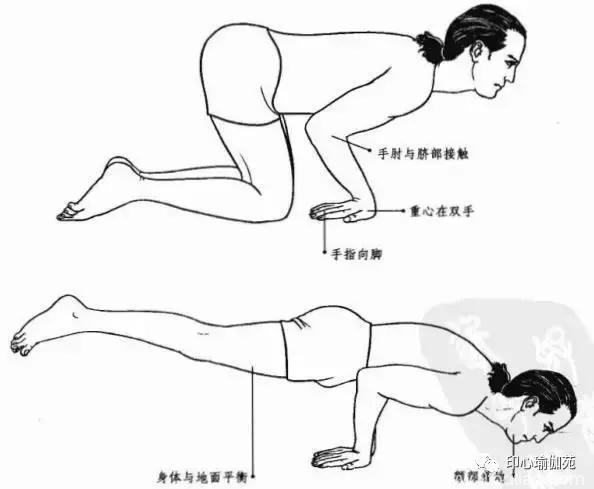 瑜伽各种体位方法概述与功效（16~20）（每日5个体式）