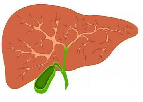 肝脏发病前的的3大症状，你有没有发现？