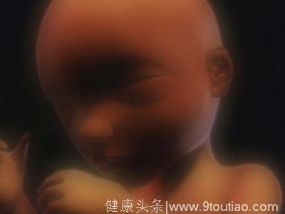 十月怀胎 胎儿发育全过程详解析—附图