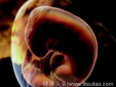 十月怀胎 胎儿发育全过程详解析—附图