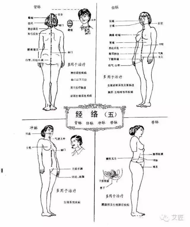 中医调理必须懂得的四大经络：任脉、冲脉、督脉、带脉