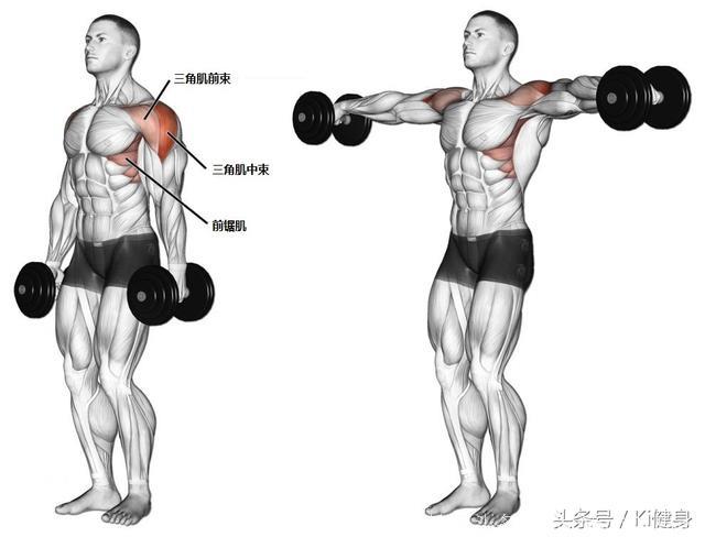 哑铃侧平举的正确打开方式，别再抱怨斜方肌太大了