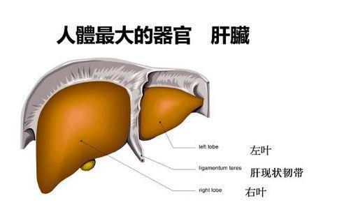 肝脏出现了这4个情况，小心肝炎肝硬化！