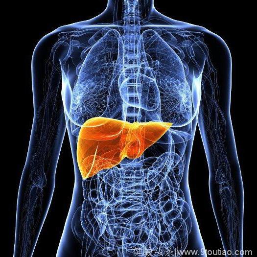 想要养肝护肝？必须知道肝脏最爱三大食物，让你远离肝脏疾病