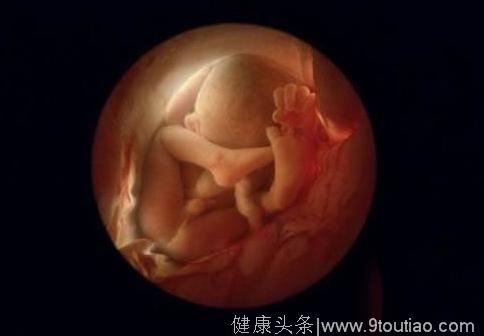 怀胎十月，胎儿每天在妈妈肚子里干些啥？太可爱太暖心了