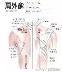 人体穴位大全——肩外俞穴：落枕、肩背酸痛、颈椎病、肘臂冷痛、肌肉酸痛等