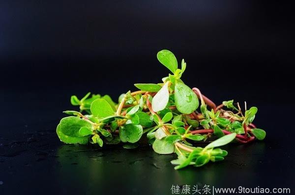 湿气重就吃这10种食物！最全食疗，越早知道越好