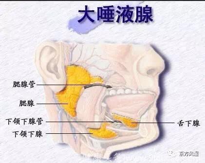 口干龋齿易溃疡，都是干燥惹的祸