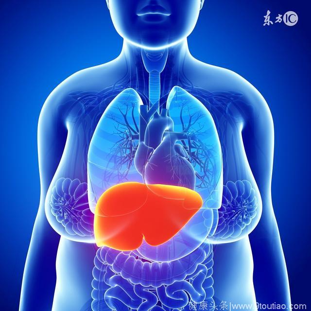 生殖系统发出这3个信号，说明肝脏有问题，身体的报警信号你知道吗？