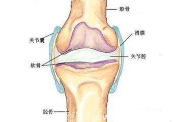 三伏天湿气重，远离七个坏习惯，加上喝这汤解暑去湿毒，你还不了解清楚？