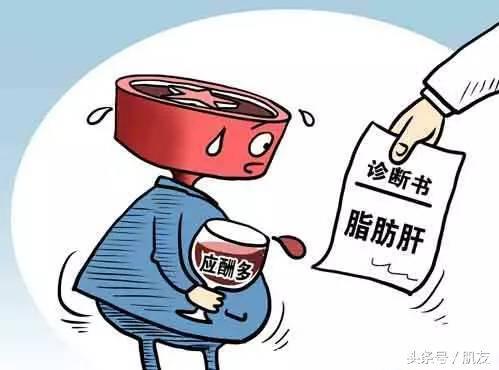 谈脂色变，你是否也脂肪过多？