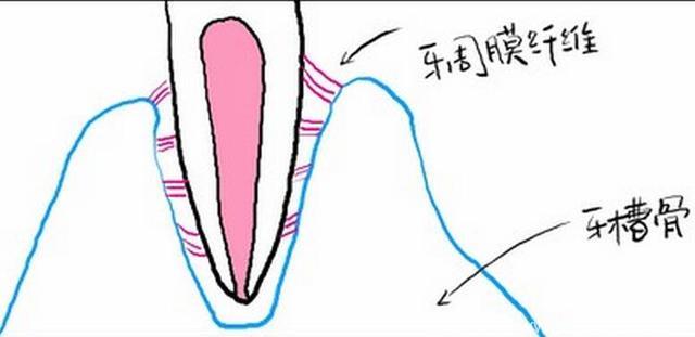 用对牙膏，可防81%的口疮，现在知道还不晚