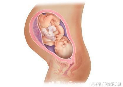 宝宝从31周到38周孕期发育过程图详解