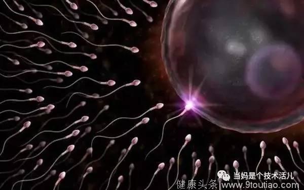 射入阴道的精子是怎么跟卵子相遇的？过程实在太难了！