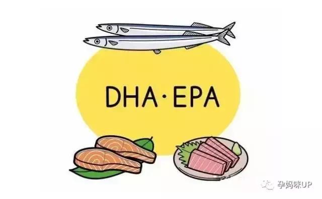 关于孕期补充DHA 全方位对比 还原藻油和鱼油的真相
