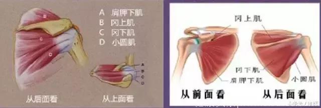 肩膀疼痛十问十答：揭秘肩关节运动损伤常见问题