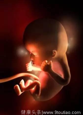 怀胎十月，胎宝宝都在妈妈肚子里干些什么呢？太暖心了！