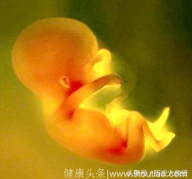 怀胎十月，宝宝在肚子里都做了些什么？