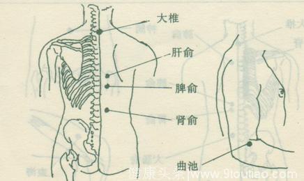 科普！独家揭秘杨幂颈部针灸放血疗法之中国传统针灸