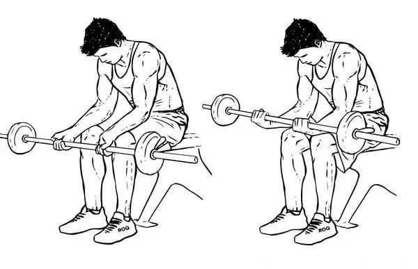 如何专门锻炼小臂上的肌肉：手臂肌肉锻炼方法大全