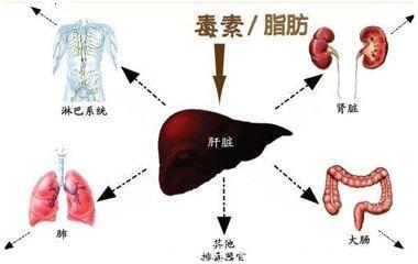 老中医说：身体出现这几个症状，就是肝脏癌变开始了