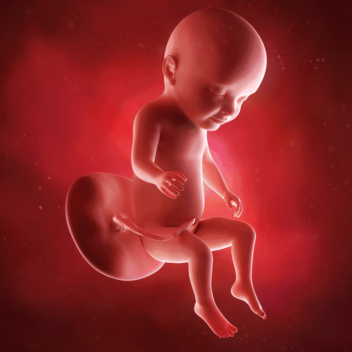妊娠期发现脐带绕颈怎么办，宝宝会被勒窒息吗？