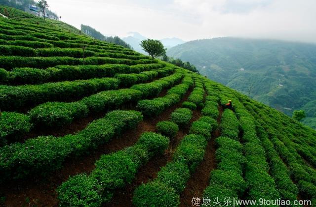 这种常见食物2种错误吃法可致癌 许多人炒菜都喜欢放