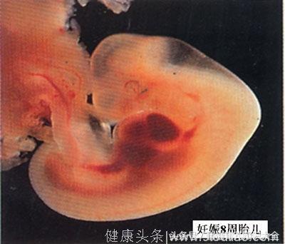 怀孕3个月两次无故胎停，妇产科医生却说“是正常情况！”