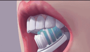 全世界最标准的刷牙姿势，你还不快学起来？