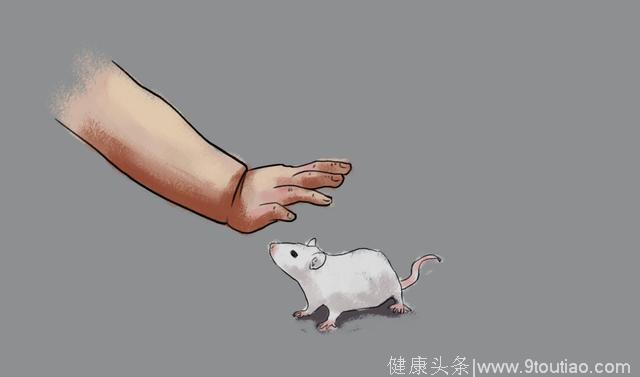 有趣的心理学实验——华生小白鼠恐惧实验