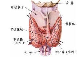 甲状腺结节的病因及症状有哪些？