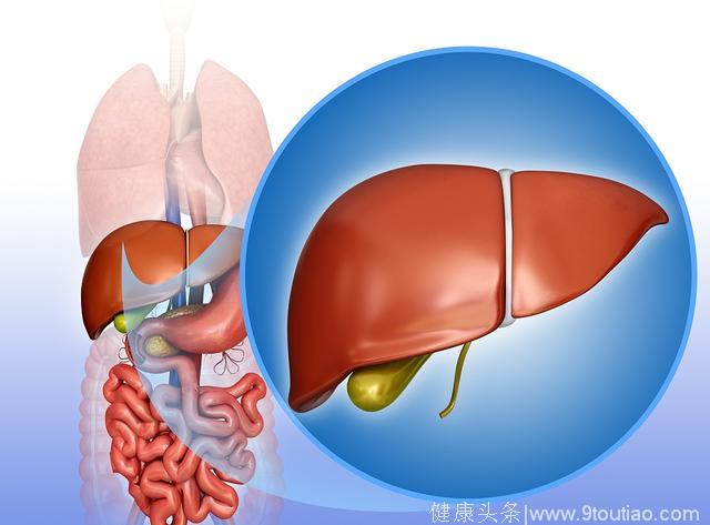 医生告诫：4个坏习惯导致肝脏受损严重，积极调养可修复受损肝脏！
