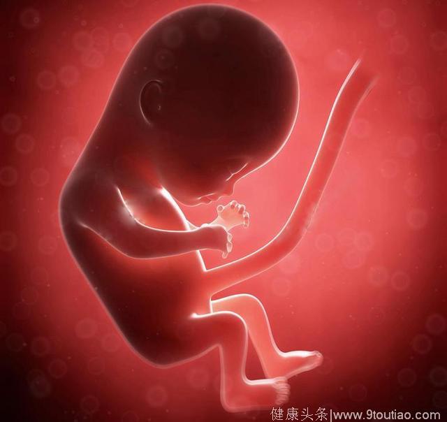 宝宝呱呱坠地，胎盘如何处理呢？