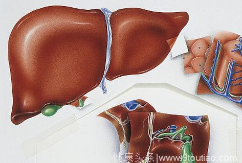 警惕：五个症状表示肝脏毒素过多，两招还原肝脏健康！